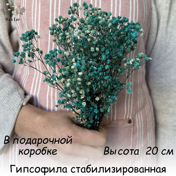 Сухоцветы Гипсофила, 1 шт купить по выгодной цене в интернет-магазине ...