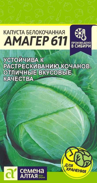 Капуста амагер фото описание Семена Алтая капуста - купить по выгодным ценам в интернет-магазине OZON (156136