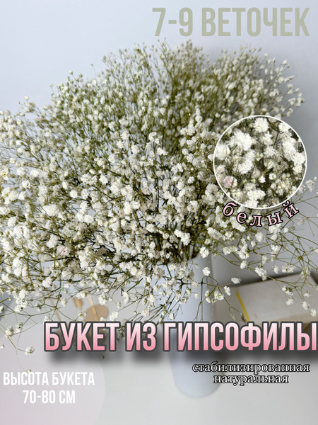 Стабилизированные цветы Гипсофила, 1 шт купить по выгодной цене в ...