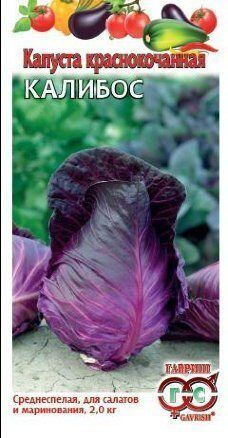 Капуста капуста краснокачанная - купить по выгодным ценам в интернет ...