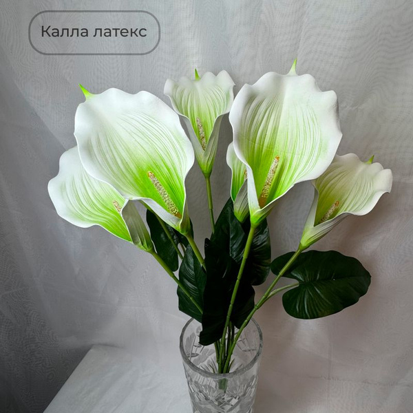 Купить Калла белая с зеленым искусственная латексная 65см, 7 головок по ...