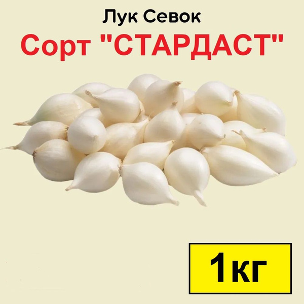 Луковицы Лук севок Лук севок купить по выгодной цене в интернет ...