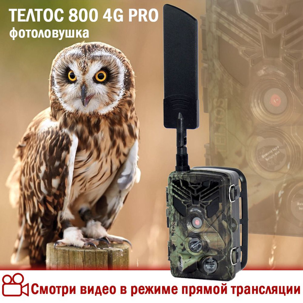 Фотоловушка "Телтос 800 MMC 4G PRO 60" для охоты, охраны дома или дачи ...