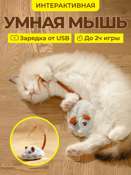 Игрушки для кошек и котят, интерактивная игрушка, умная мышка для кошек ...