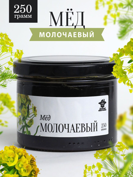 Молочаевый мед жидкий 250 г в стеклянной банке, вкусный подарок ...