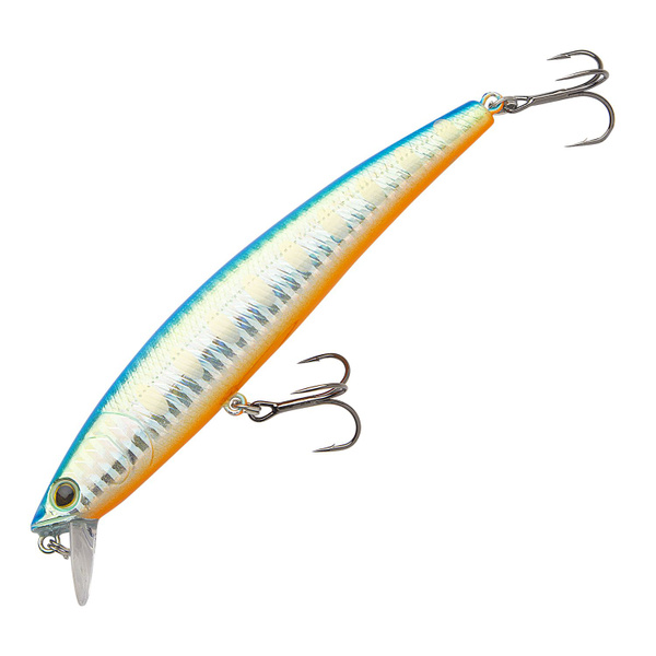 Arc minnow. Arc minnow
