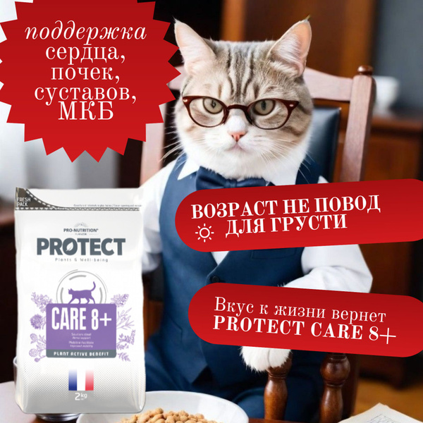 Корм сухой лечебный для пожилых кошек и котов с хроническим ...
