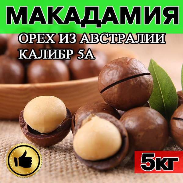 Характеристики МАКАДАМИЯ, МАКАДАМИЯ ОРЕХ, калибр 5А 5кг в скорлупе с ...