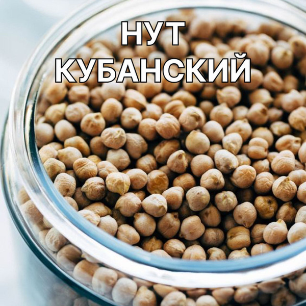 Нут Кубанский калибр 7+ крупа для хумуса и восточной кухни 1 кг ...