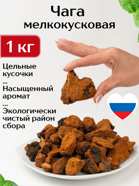 Чага березовая кусковая 2-4 см, 1 кг - купить с доставкой по выгодным ...