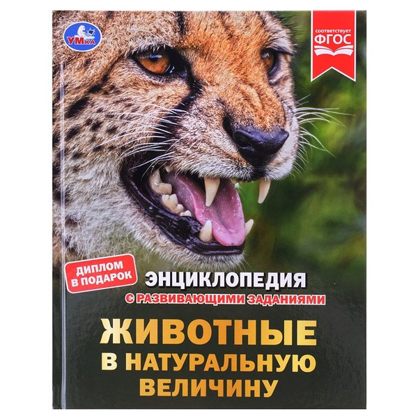 Энциклопедия Умка с заданиями, "Животные в натуральную величину", 50 ...