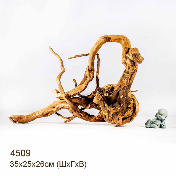 Коряга для аквариума натуральная. Корень Азалии - L. Декорация MASHA ...