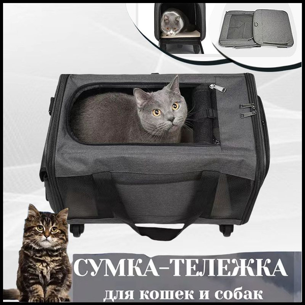 Переноска тележка сумка 2 в 1 на колёсах для кошек и собак, для мелких ...