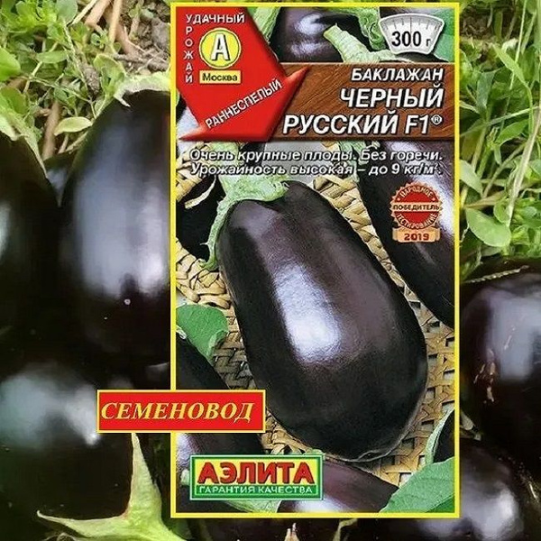 Баклажаны Аэлита Баклажан_ - купить по выгодным ценам в интернет ...