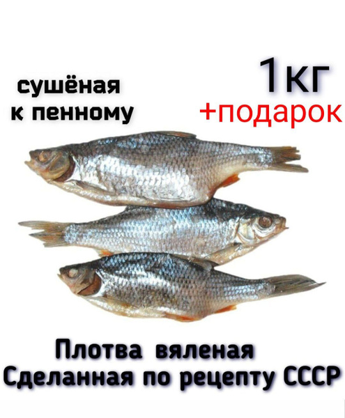Плотва вяленая/1 кг купить на OZON по низкой цене (1754782363)