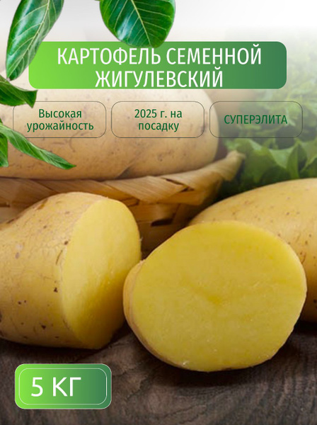 Картофель семенной клубни для посадки 5 кг купить на OZON по низкой ...
