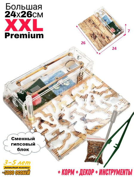 Большая муравьиная ферма "Сосна" XXL 26х24см купить на OZON по низкой ...