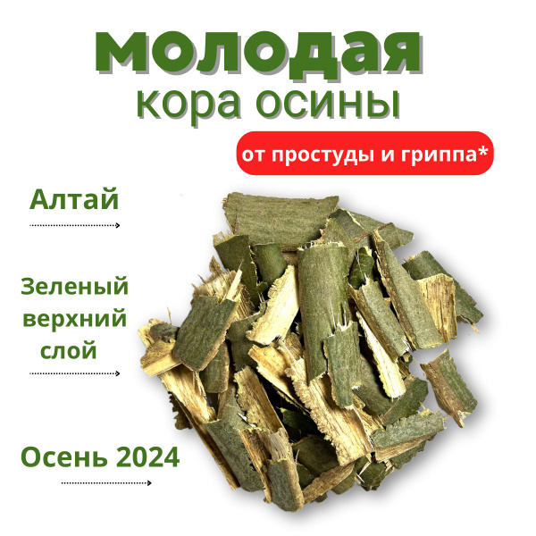 Кора осины молодая 1000гр купить на OZON по низкой цене (1510892865)