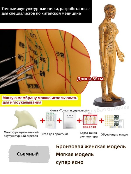 Женская акупунктурная модель, 52см, с атлас акупунктурных точек и ...