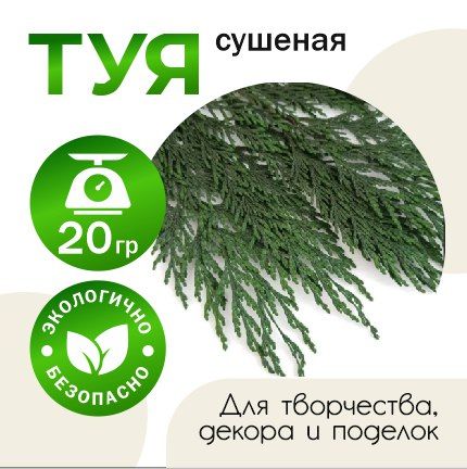 Сухоцветы, 20 гр, 1 шт