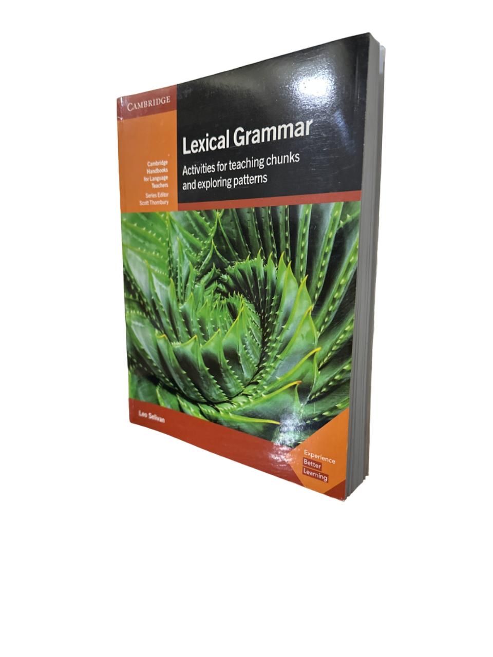 Lexical Grammar - купить с доставкой по выгодным ценам в интернет-магазине  OZON (1414550478)