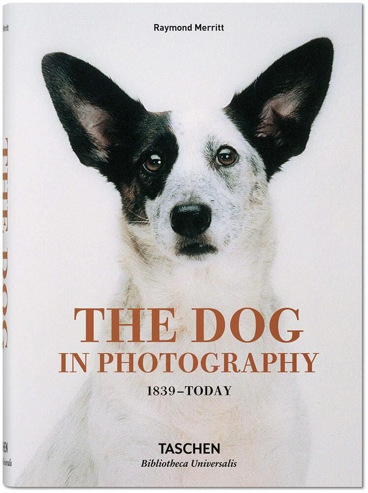 The Dog in Photography. 1839-Today | Merritt Raymond