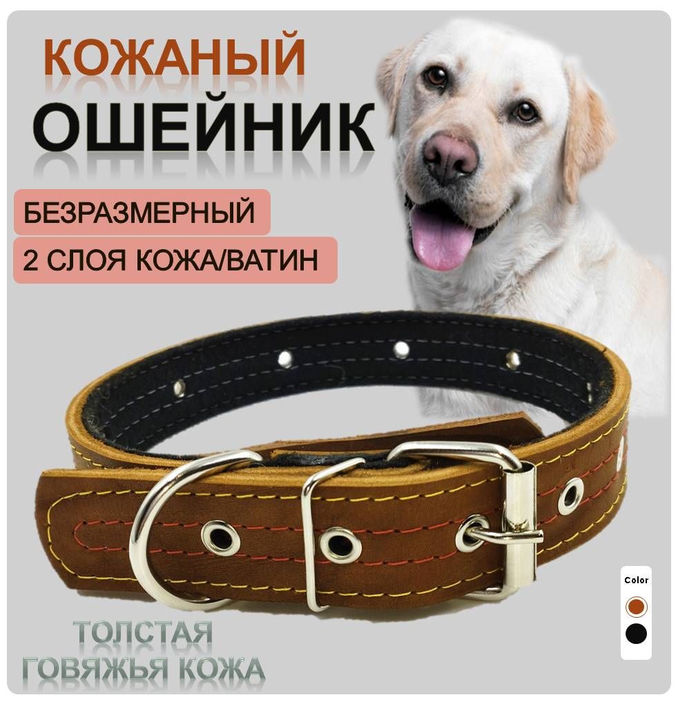 Купить Ошейники для собак в Новосибирске интернет-зоомагазин ЗооСАТ с доставкой – выгодные цены!