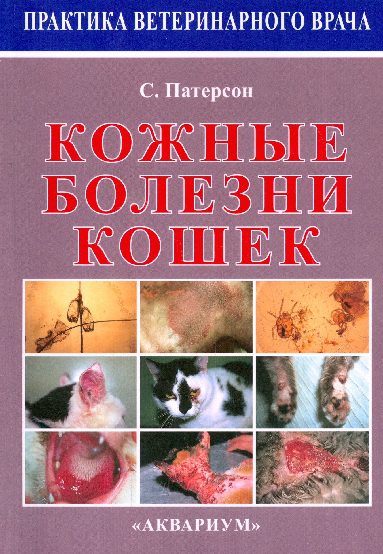 Заболевания кошек список с картинками