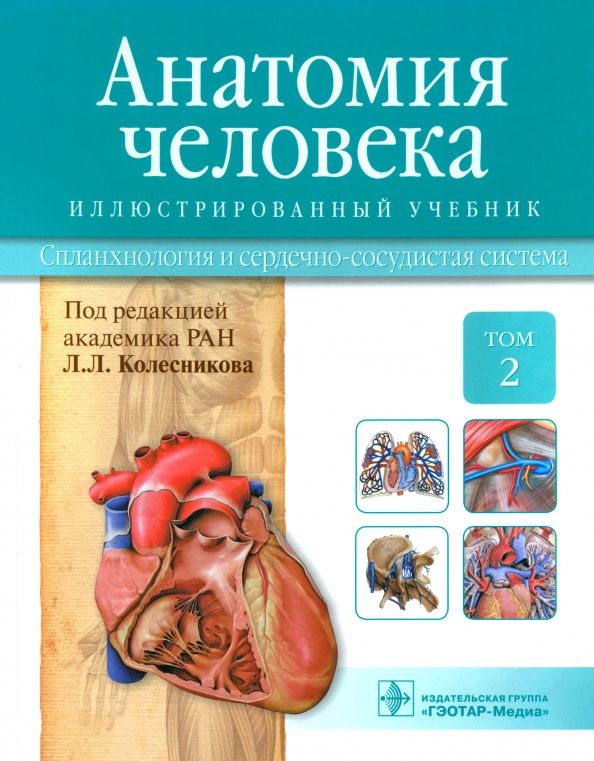 Купить Анатомию Человека В 3 Томах