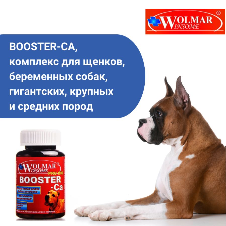 Мультикомплекс Wolmar Winsome Pro Bio Booster Ca для щенков и беременных собак средних и крупных пород, таблетки, № 180