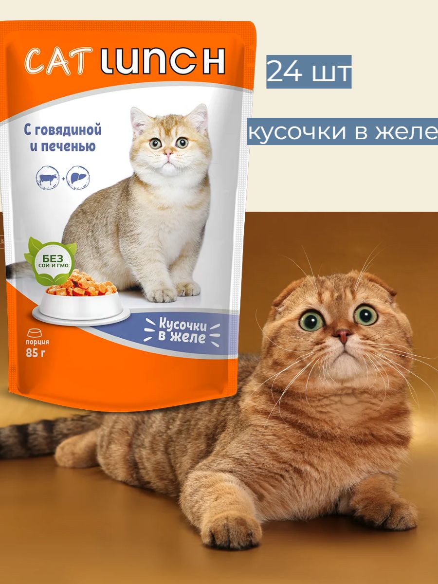 ВлажныйкормдлякошекCatLunchкусочкивжелеГовядинаиПечень85г(24шт)