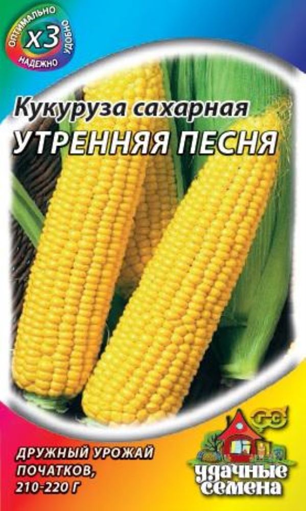 Гавриш кукуруза заря сахарная. Кукурузного утра. Кукурузного утра. Кукуруза утренняя песня 100г. Кукуруза симпатия сахарная.