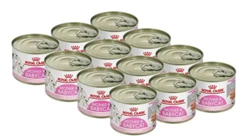 Консервы Royal Canin Mother & Babycat, для котят с 1 до 4 месяцев, мусс, 195г х 12 шт