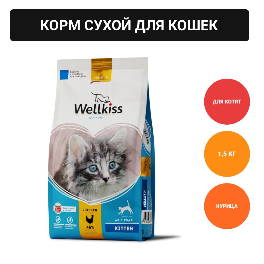 Корм Для Кошек Wellkiss Купить В Москве