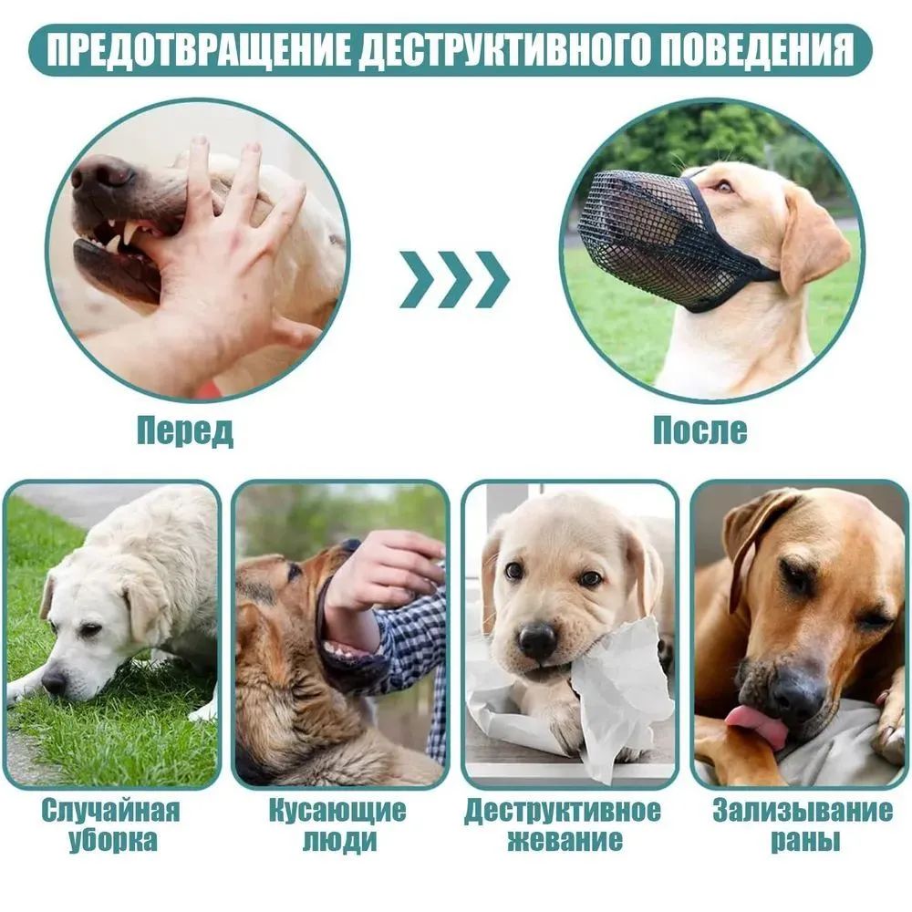 Намордник сетчатый, намордник, маска для собаки, Размер L 26-31CM