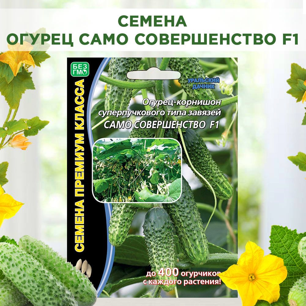 Огурцы Само Совершенство Отзывы Фото