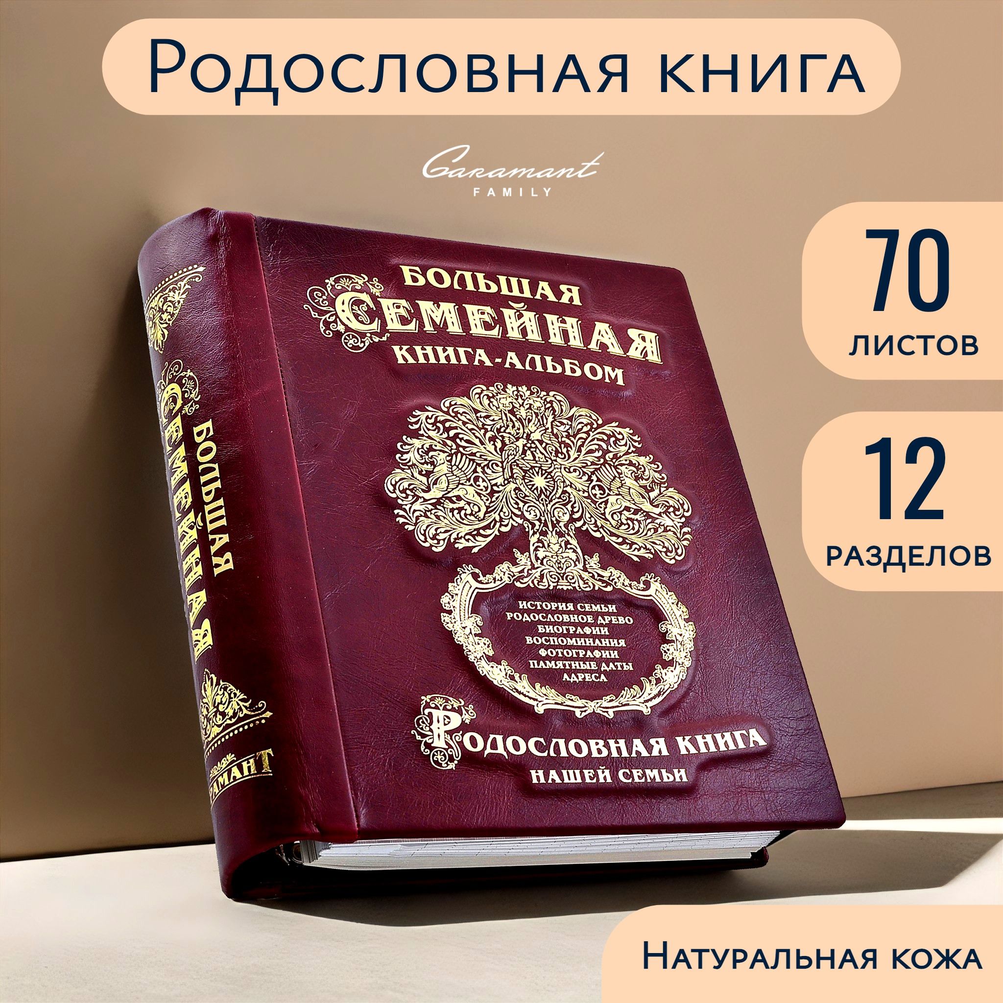 Большая Семейная Родословная книга 