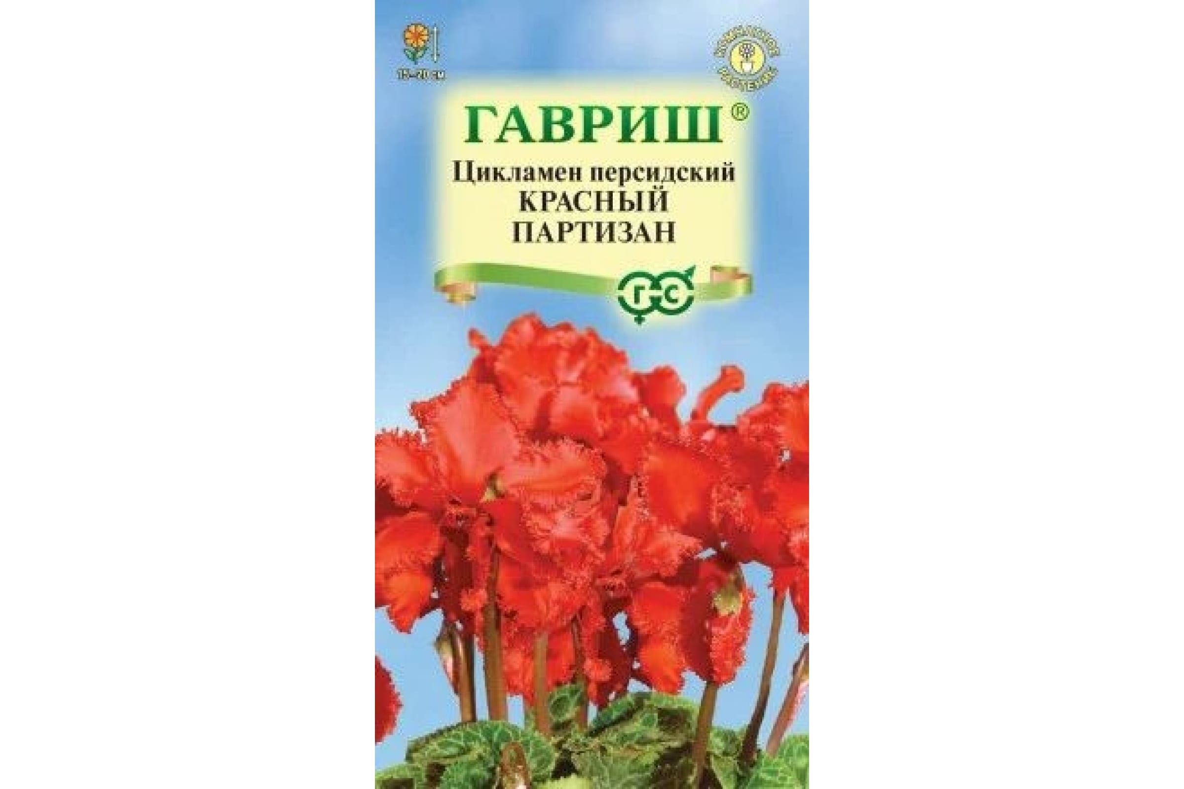 Купить Семена Цикламена Недорого