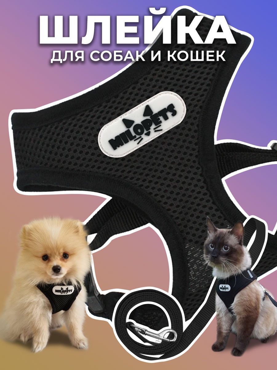 Шлейка с поводком для собак мелких, средних пород и кошек анатомическая MiloPets, обхват груди M 35-48 см, цвет черный купить на OZON по низкой цене (589283209)