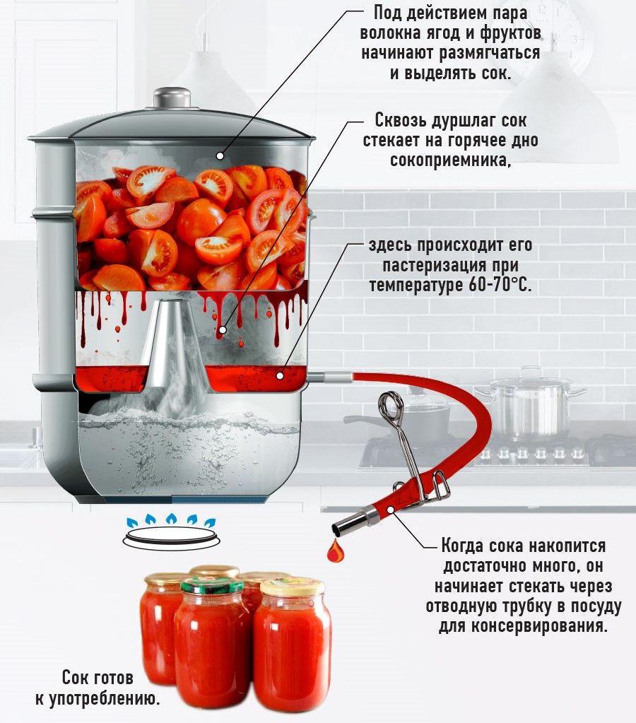 Соковарка WEBBER BE-09/2, 6 л