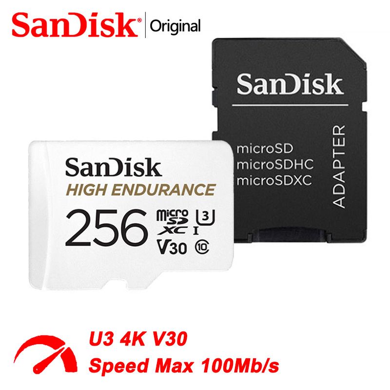 SanDisk Карта памяти High Endurance 256 ГБ (SDSQQNR-256G)