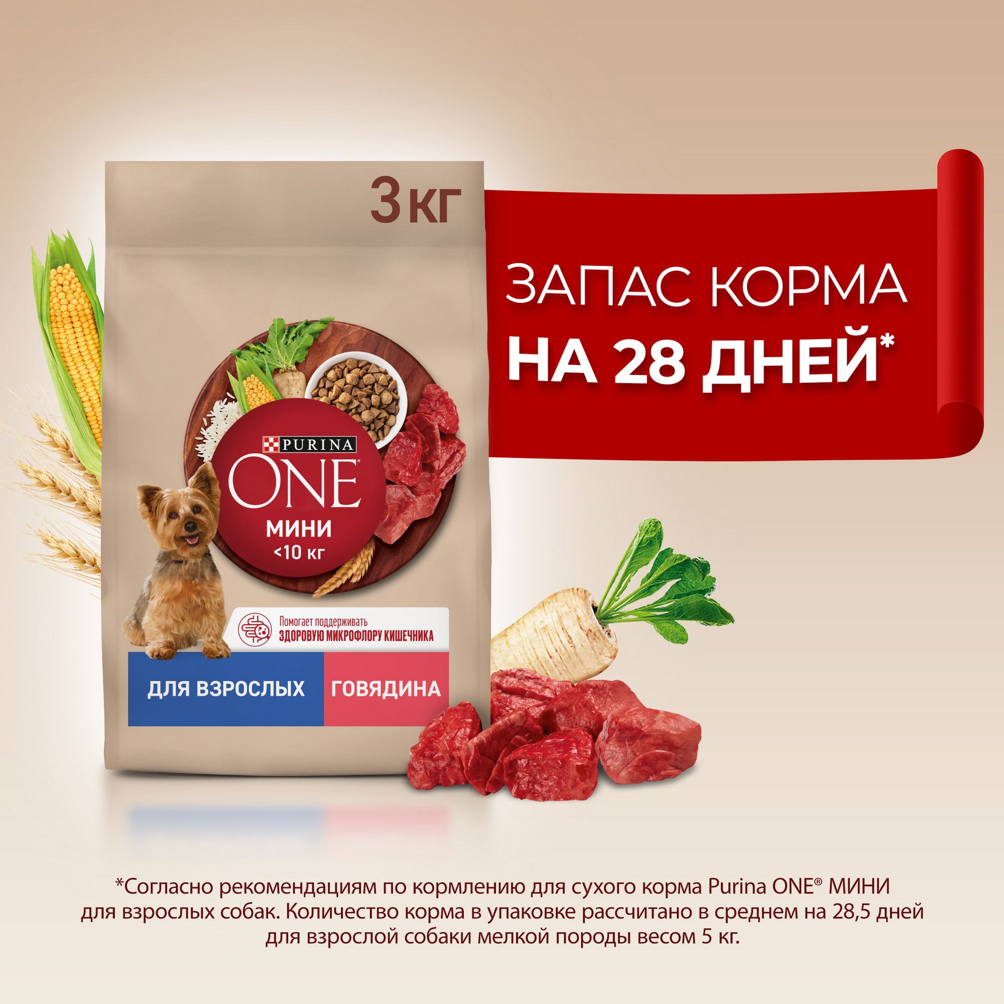 Сухой корм для собак PURINA ONE МИНИ для мелких и карликовых пород, с говядиной и рисом, 3 кг