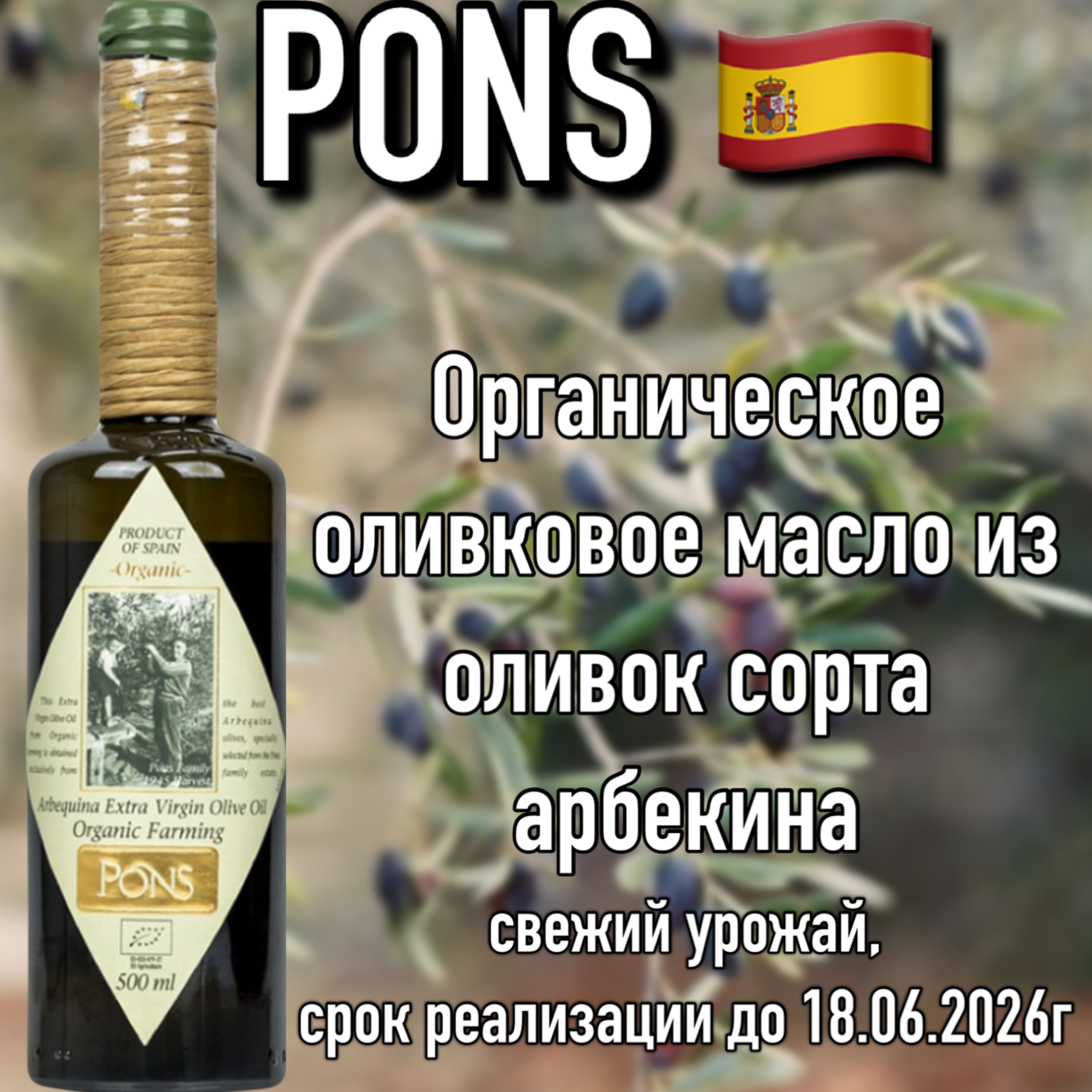 Испанское Оливковое Масло Купить