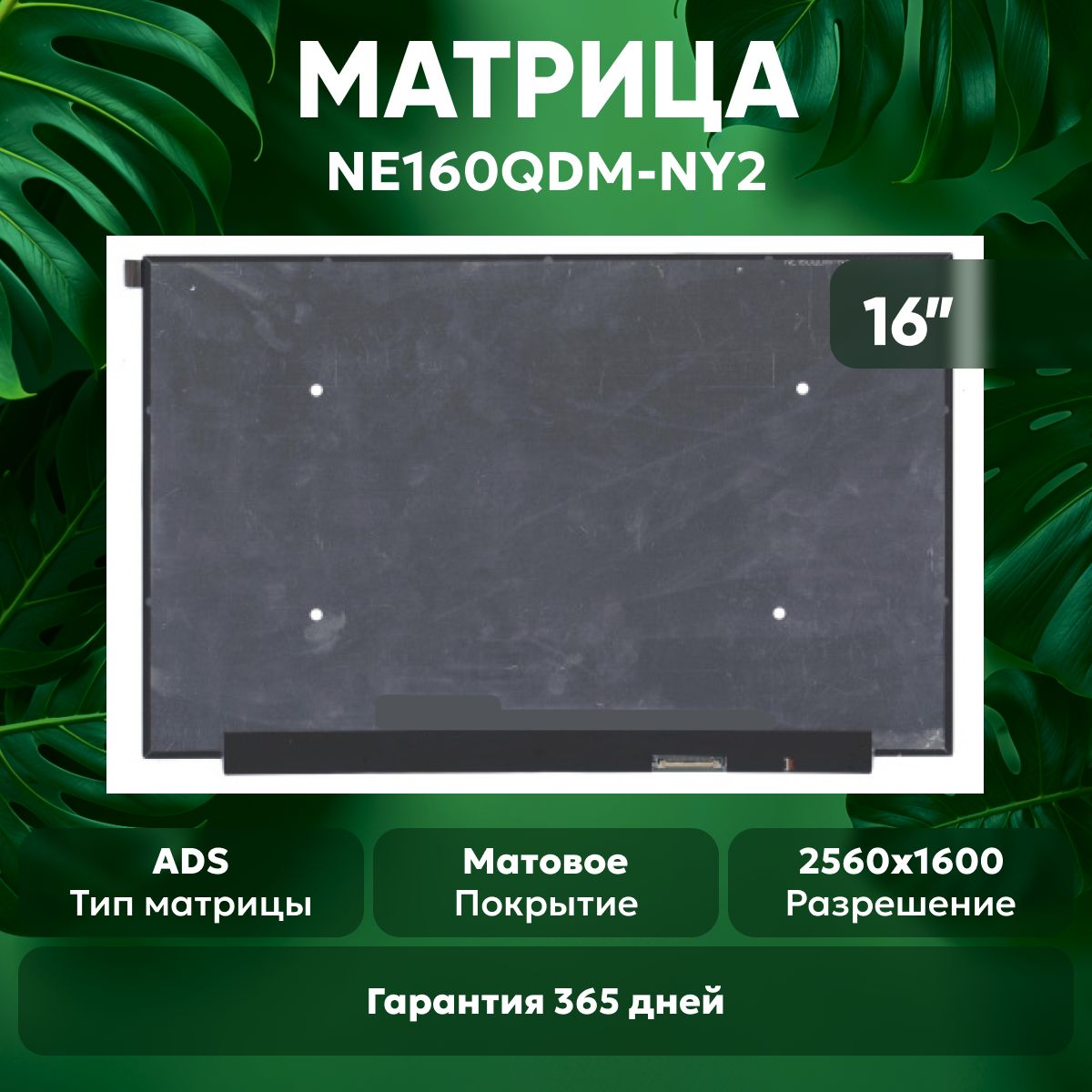 МатрицаBatmeNE160QDM-NY2дляноутбука,2560х1600(WQXGA),16",разъем(pin)40,светодиодная(LED),матовая,ADS