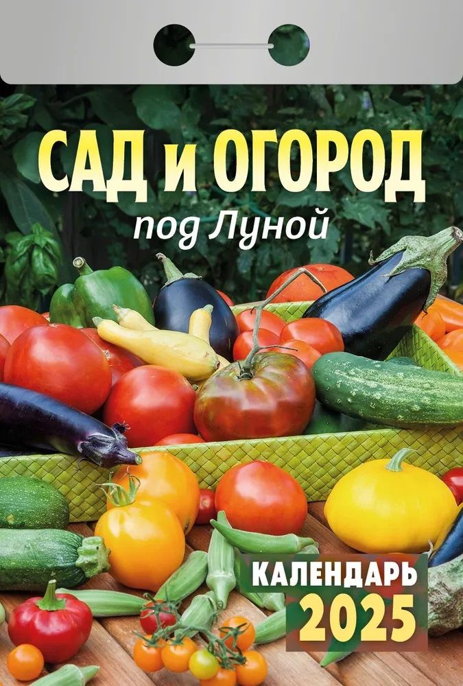 КостромаКалендарь2025г.,Отрывной