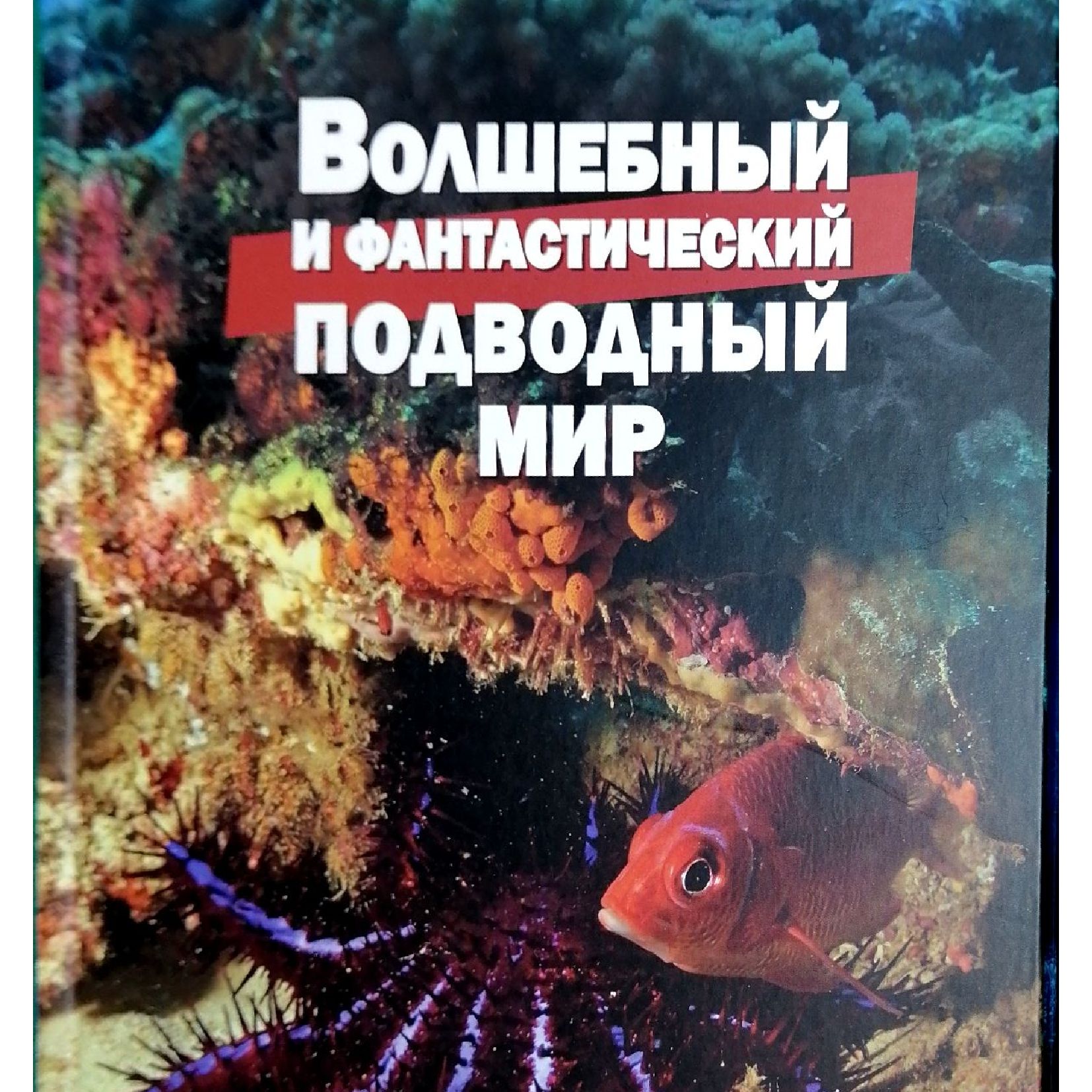 Волшебный и фантастический подводный мир | Климов Василий