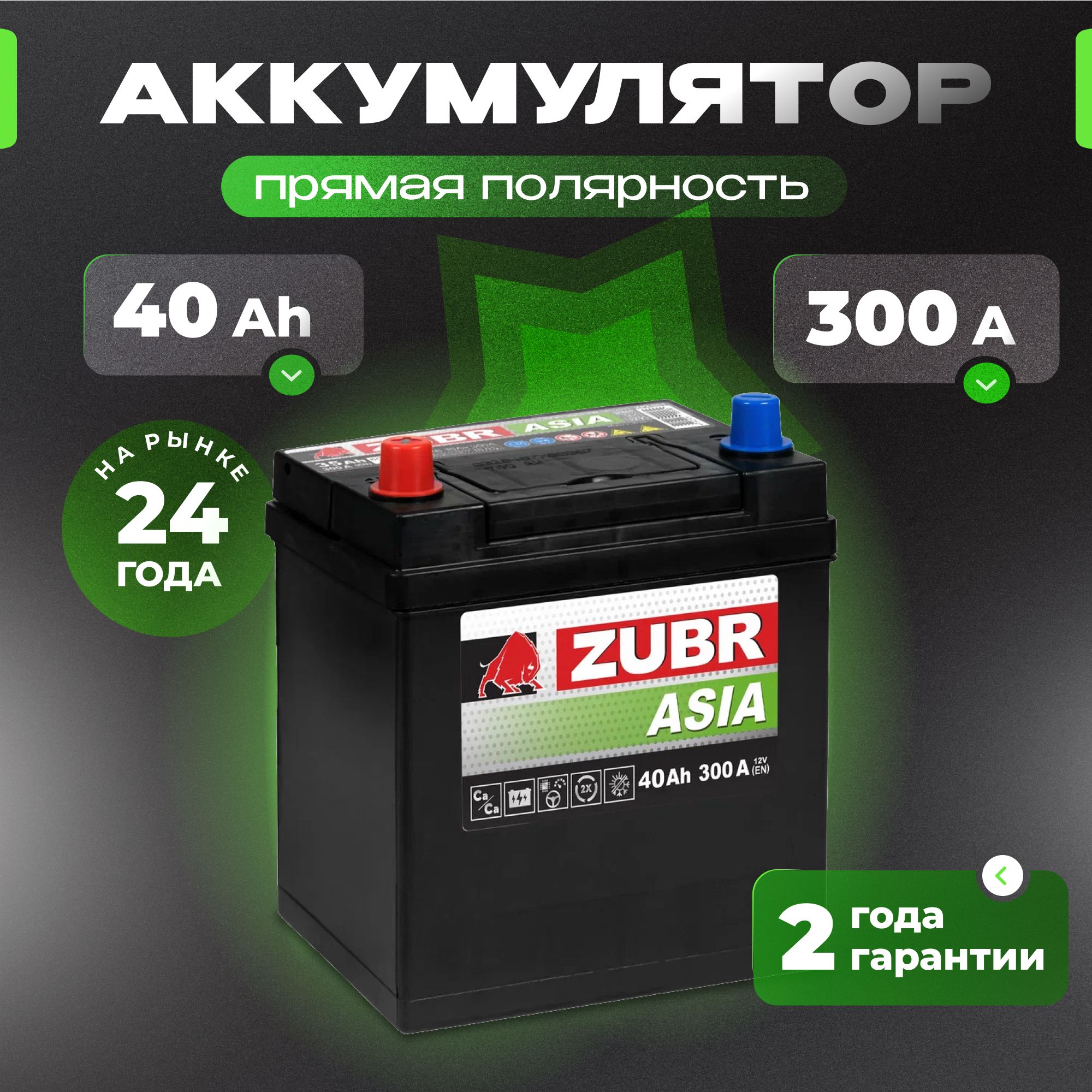 Аккумулятор автомобильный 12v 40 Ah ZUBR Premium Asia 40 Ач 300 А прямая полярность 187x127x225 стартерный акб для автомобиля, машины (без борта)