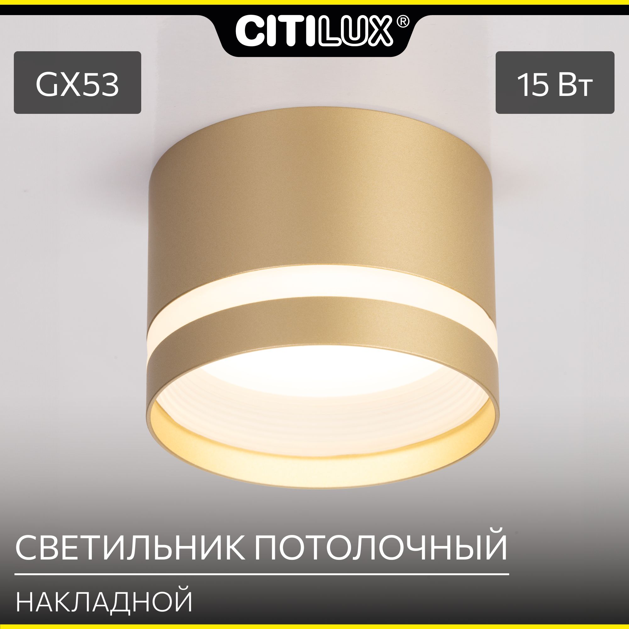 Светильник накладной Citilux Hardy CL002C12 Золото