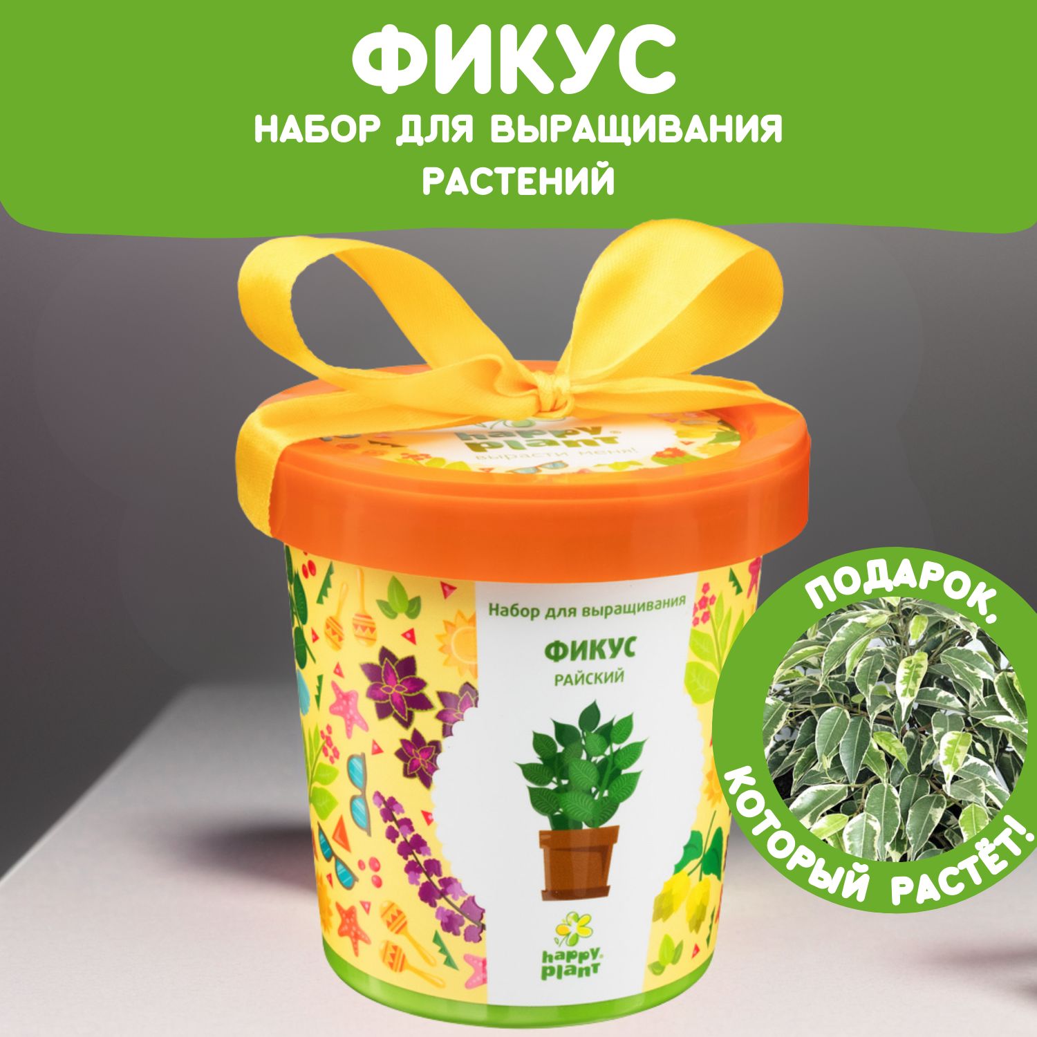 Набор для выращивания растений Happy Plant Фикус