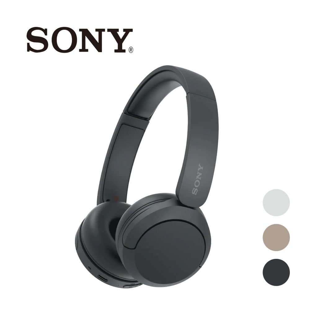 Sony WH CH520